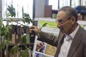 Nagib Nassar, 78, botânico e geneticista, doutor em genética e melhoramento de plantas, é professor emérito da Universidade de Brasília (Foto: Universidade de Brasília)