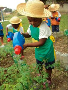 Os pequenos trabalham no cultivo de seu alimento. A foto mostra as crianças regando as hortaliças com material reciclado (Foto: Arquivo/Creche Nise da Silveira)